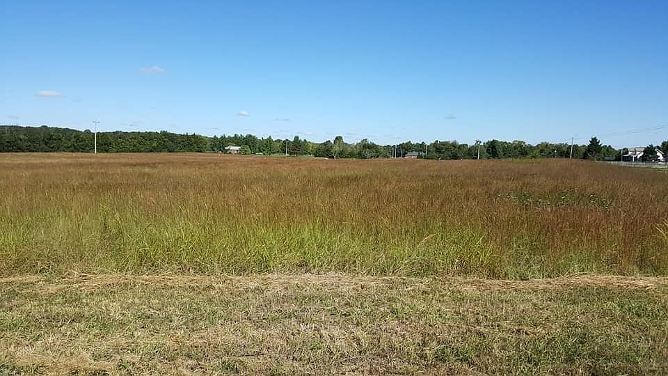2nd image of 10100 Midland Rd Lot 2