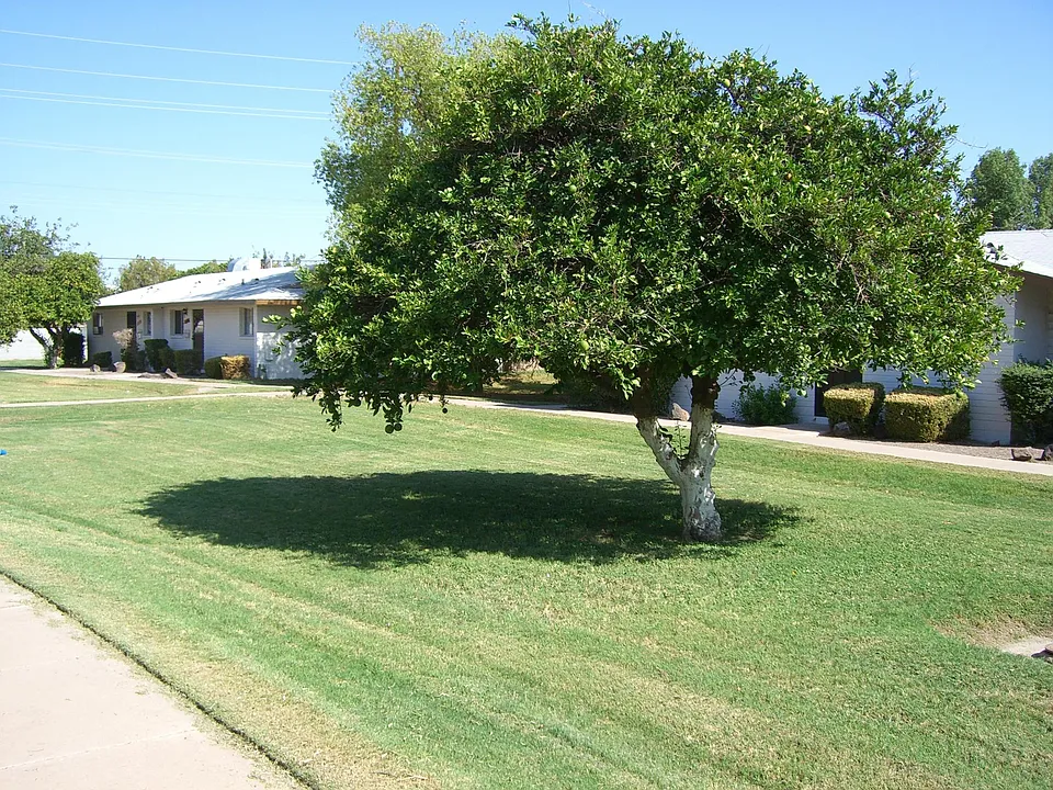 7112 W Minnezona Ave