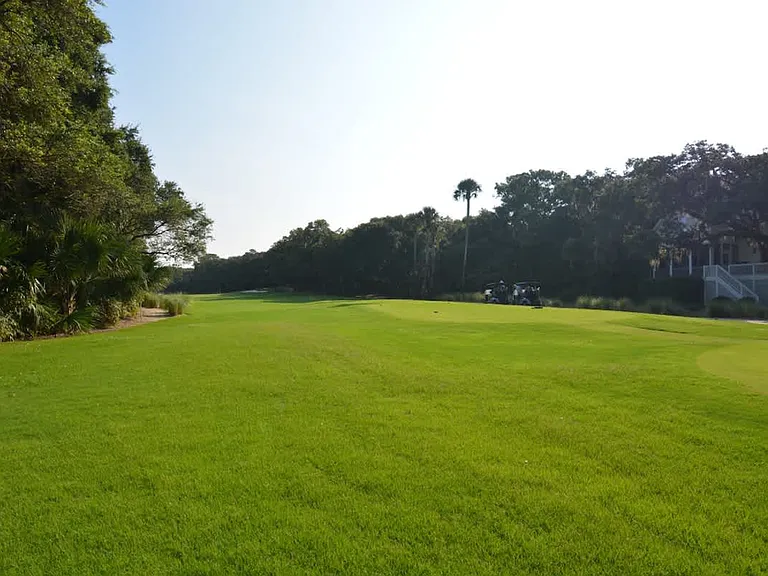 1161 Summer Wind Ln #ID1541211P — Photo 6