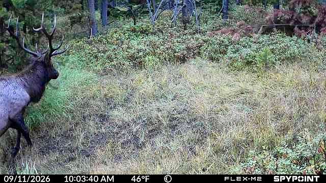 1st image of 357 Ontario Dr