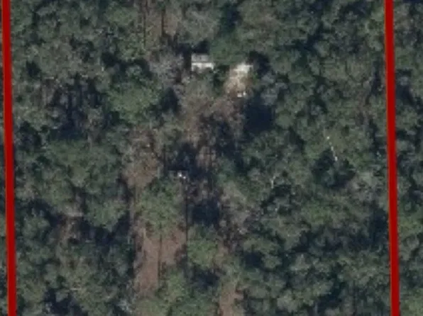 4199 284th St, Branford, FL 32008