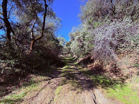 5th image of Raphael Ridge Rd