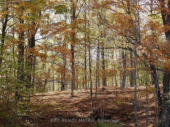 4th image of LOT 2 Woodland Park Dr
