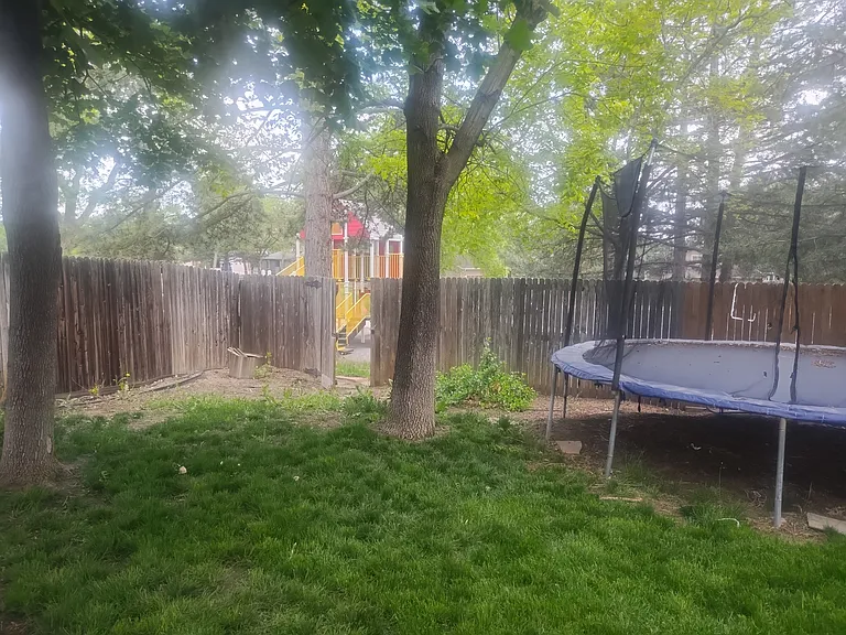 7280 Braun Way — Photo 7