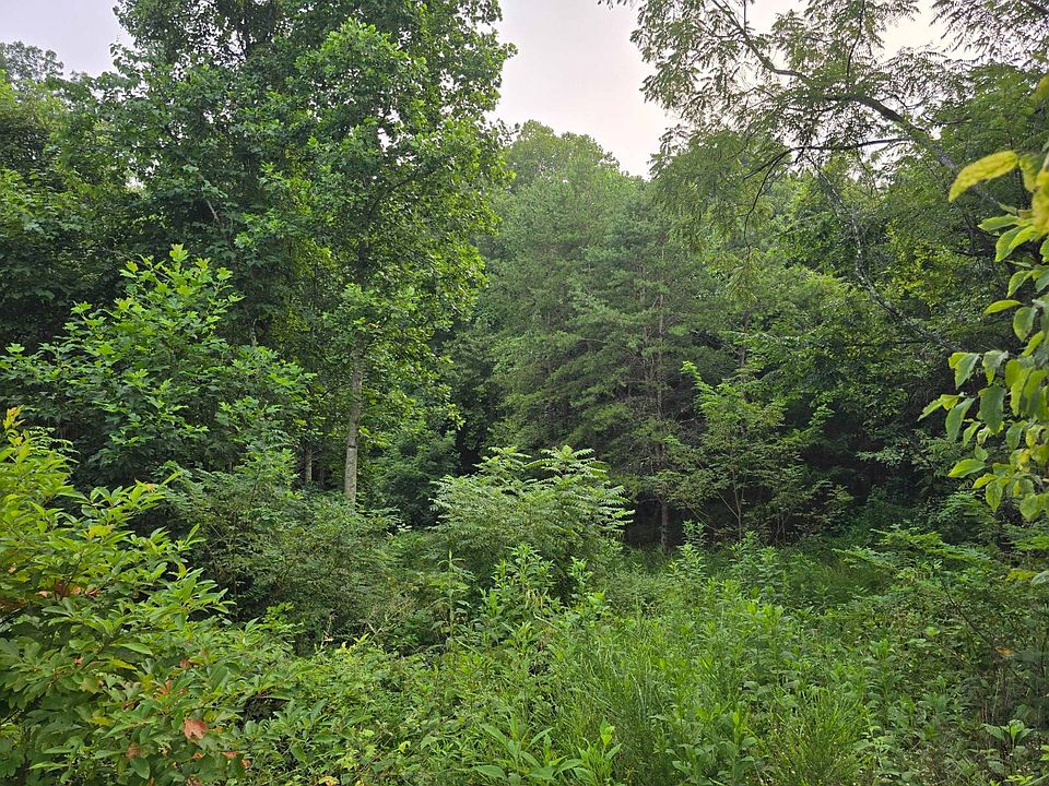 1st image of 0 Volunteer Rd