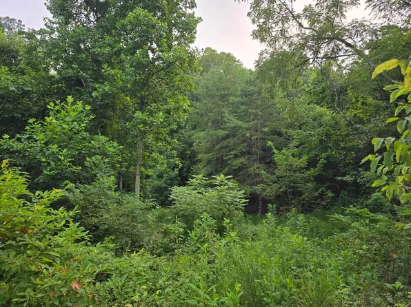 0 Volunteer Rd, Rutledge, TN 37861