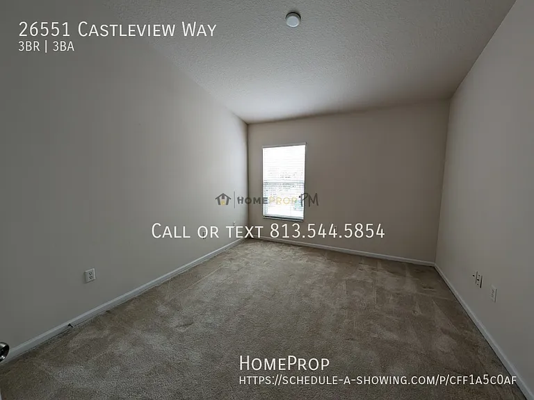 26551 Castleview Way — Photo 17