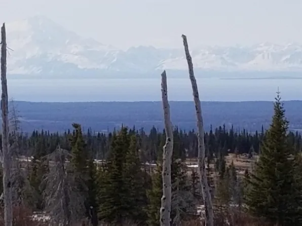 0 Caribou Hills Rem SW, Ninilchik, AK 99639