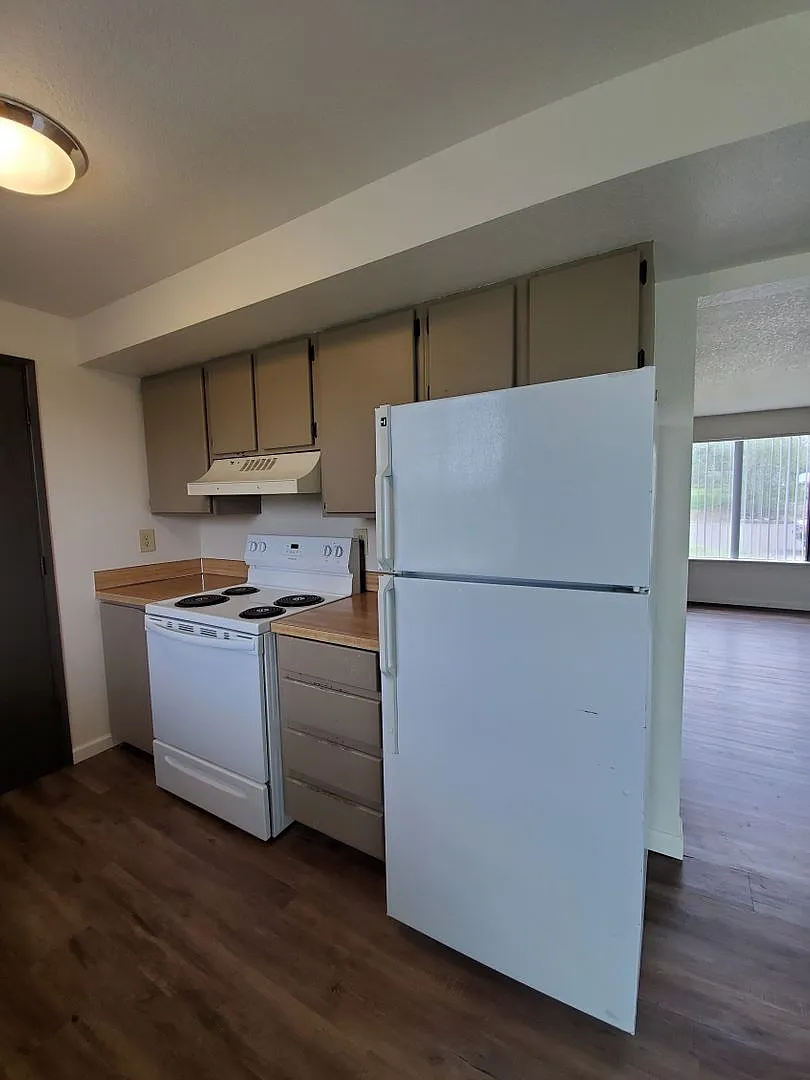 3 bedroom 1.5 Bath with large low maintenance backyard — Photo 4
