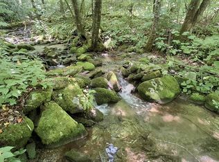 0 Berry Paul Jenkins Rd, Robbinsville, NC 28771