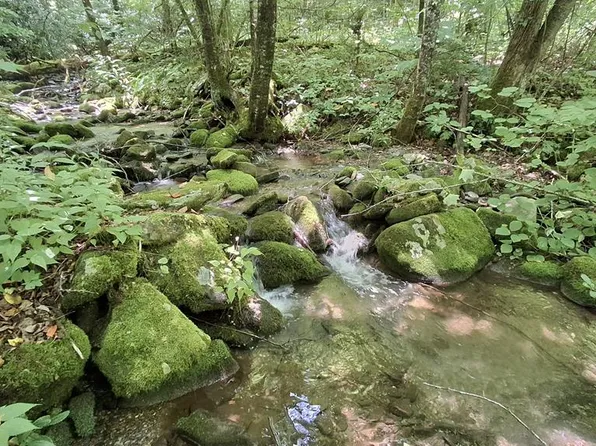 0 Berry Paul Jenkins Rd, Robbinsville, NC 28771