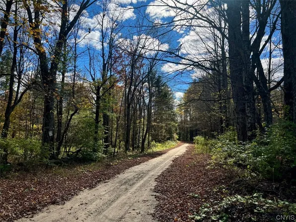 0 Kelly Rd, Stratford, NY 13470