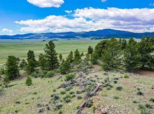 224 Concho Trl, Hartsel, CO 80449