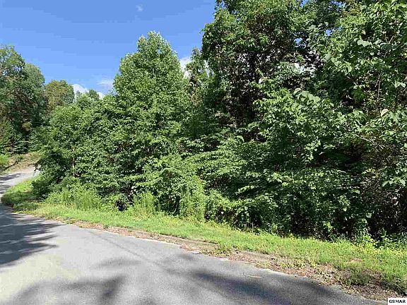 3rd image of LOT 55 Oak Lake Dr