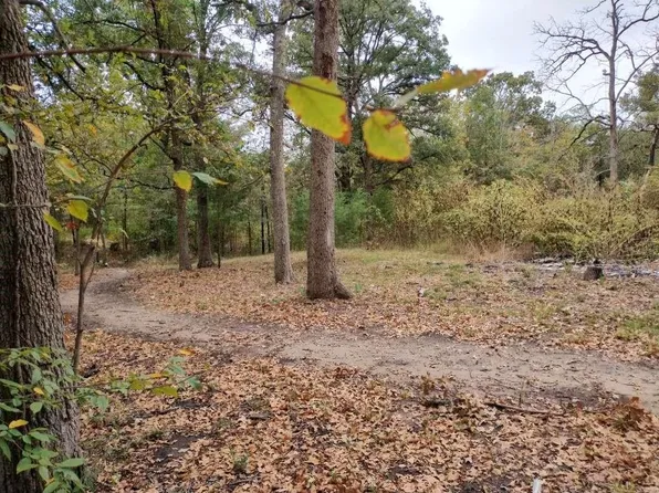 9411 Pinewood Dr, Quinlan, TX 75474