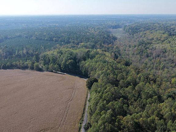 2nd image of Timber Branch Rd