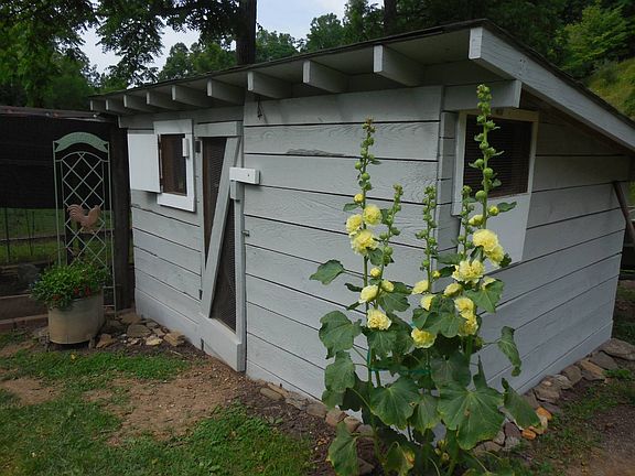 12th image of this home