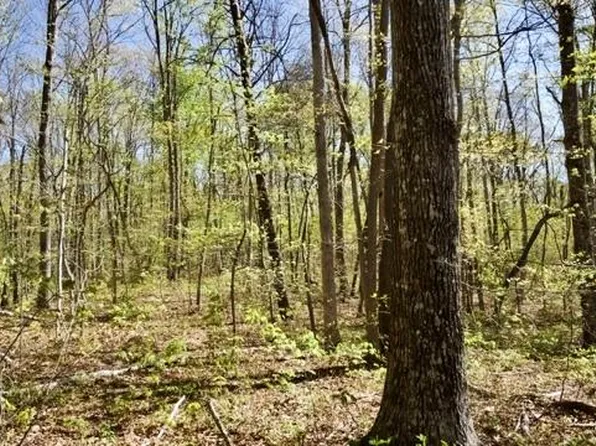 0 Whiteoak Swamps Rd, Dunlap, TN 37327