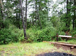 Puffin Ln, Manzanita, OR 97130