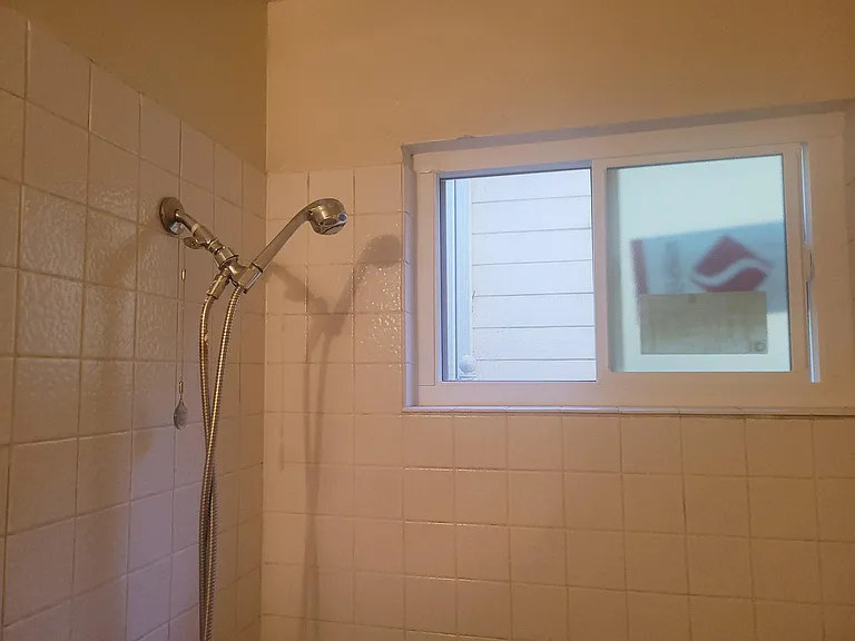 Bathroom Shower wand and window