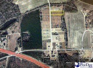 20 Step Rd, Wallace, SC 29596