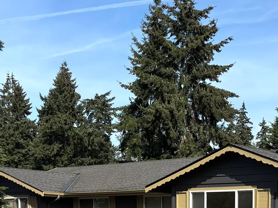 109th Avenue Ct E