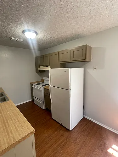 503 Tammy Lynn Dr #3 Photo 1