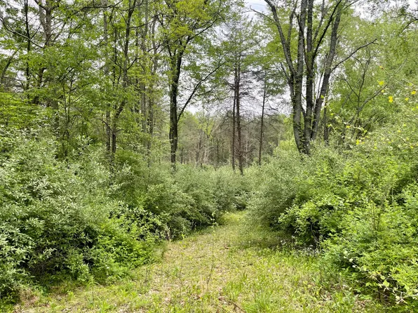 0 Pumpkin Ridge Rd, New Plymouth, OH 45654