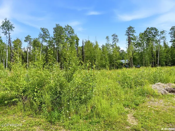 24681 W Sunnyslope Way, Willow, AK 99688