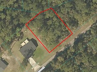Sequoia Dr #3, Ocklawaha, FL 32179