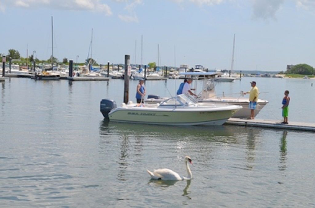  Another View Jamesport Marina