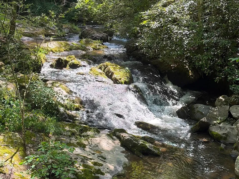 Meadow Fork Rd