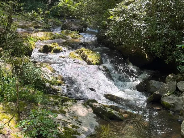 (undisclosed Address), Hot Springs, NC 28743