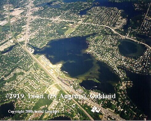 3rd image of 3264 Island Cove Dr Unit 300