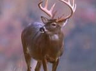 6010 Old Orchard Rd, Indianapolis, IN 46226