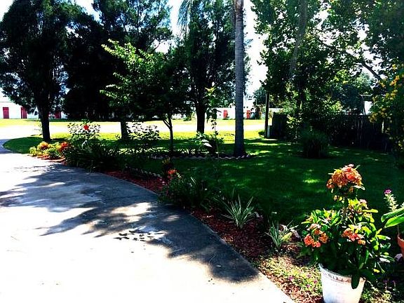 Driveway and Front Yard