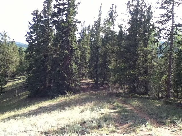 1st image of 10101 Eaglenest Dr