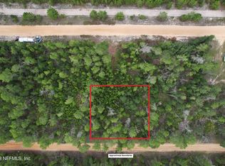 0 SELMA Avenue, Interlachen, FL 32148