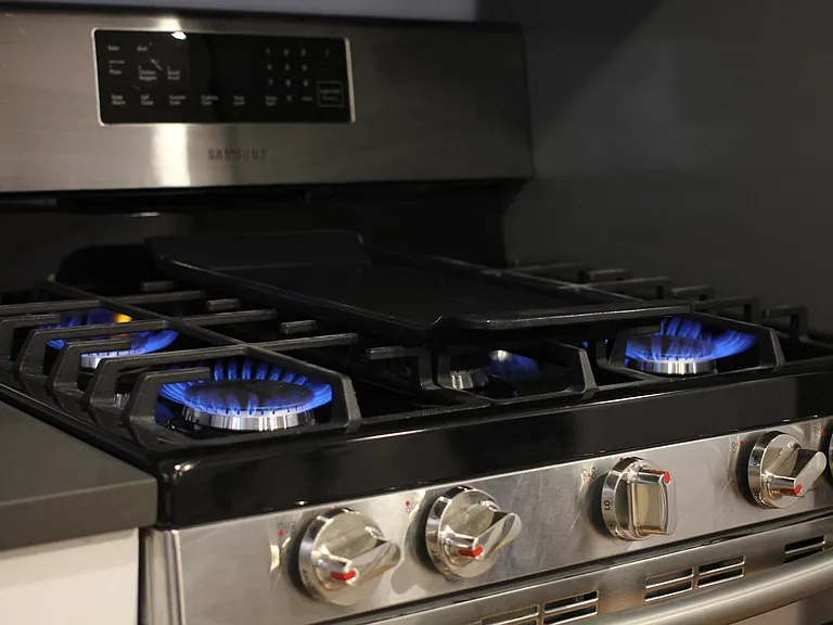 Stainless gas range