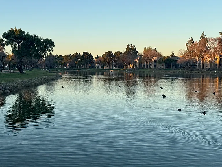Nearby Gila Springs Park and Pond