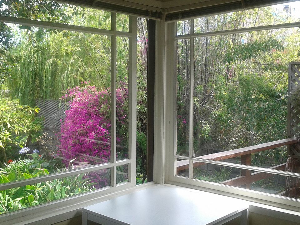 View from one of four LR windows