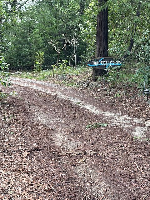 Triple Creek Woods