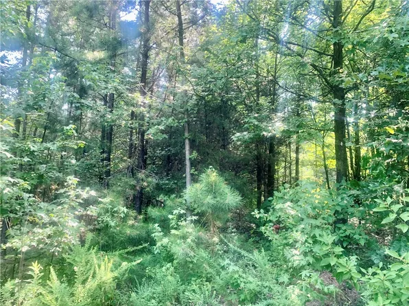 0 Doe Ln, Dover, AR 72837