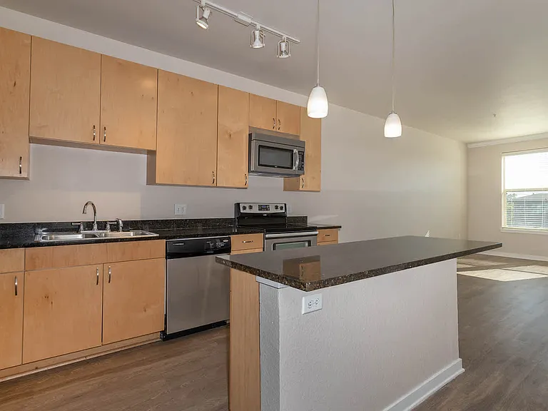 Kitchen and Living Area with Hard Surface Flooring