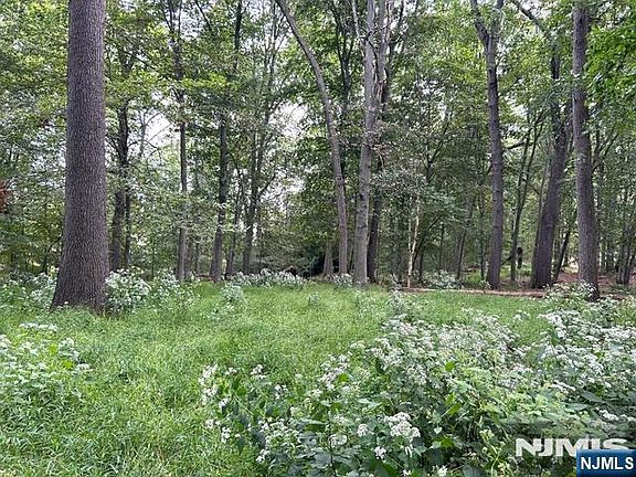 3rd image of 440 Cedar Lane