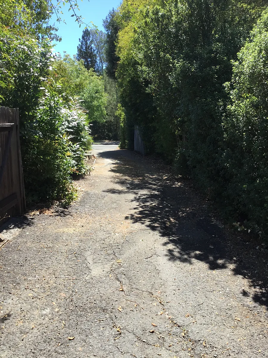 Building Photo - 368 Benicia Dr