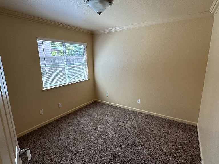 5425 Buckwood Way — Photo 12