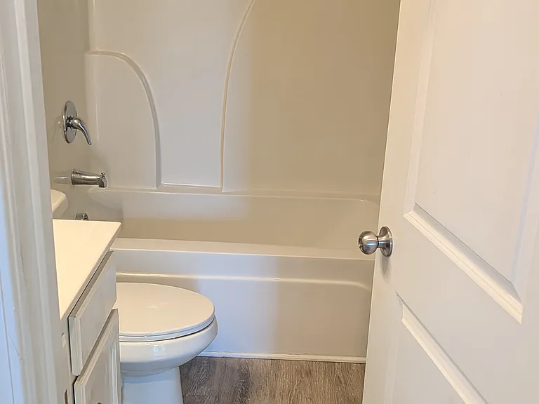 Hall bathroom