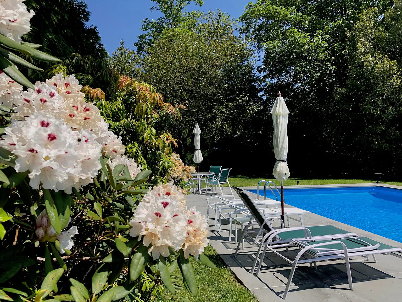 3 Bed Cozy Summer Rental in the Village — Photo 3