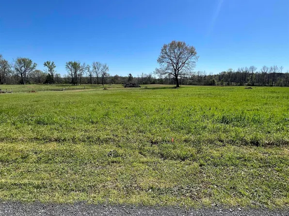 0 Highway 321 Tract N #2, Austin, AR 72007